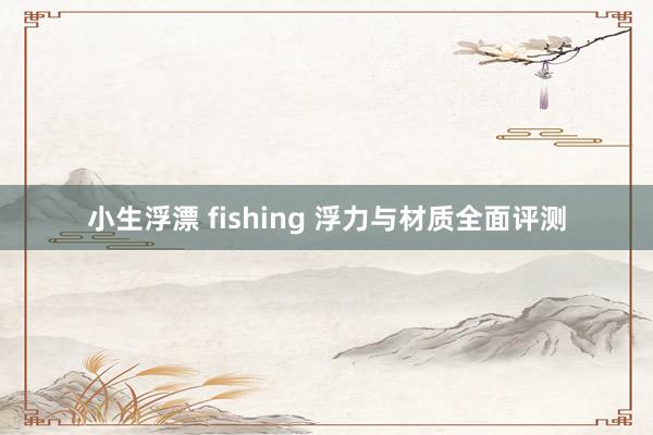 小生浮漂 fishing 浮力与材质全面评测