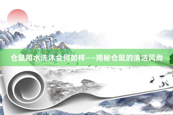 仓鼠用水洗沐会何如样——揭秘仓鼠的清洁风尚